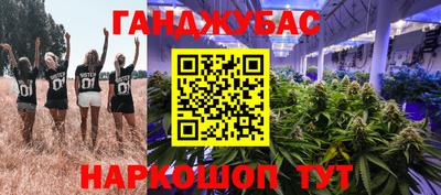 стафф Краснознаменск