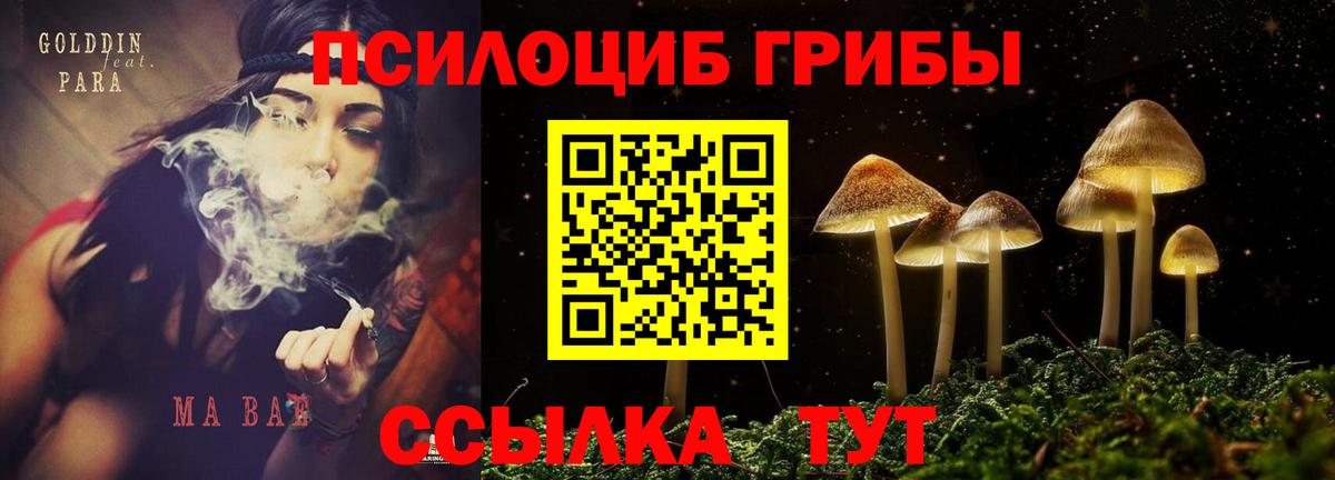 Псилоцибиновые грибы ЛСД  купить   Ульяновск  Вход с VPN 